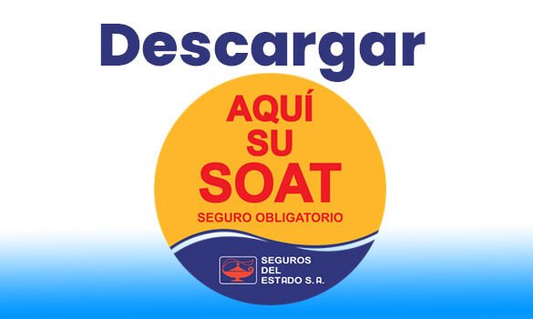 Descargar Soat Sura Por Placa Suramericana