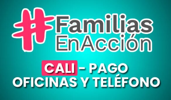 familias-en-accion-en-cali